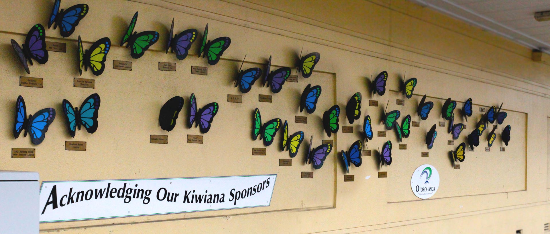 SEE OUR BUTTERFLY WALL